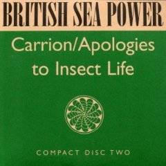 British Sea Power : Carrion - Apologies to Insect Life